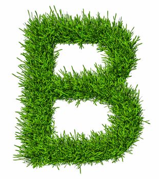 Letter of grass alphabet. Grass letter B isolated on white background. 3d illustration