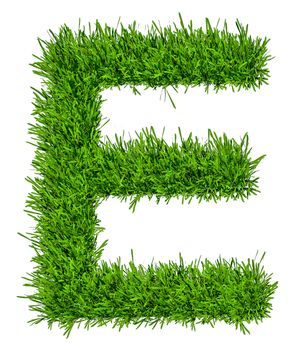 Letter of grass alphabet. Grass letter E isolated on white background. 3d illustration