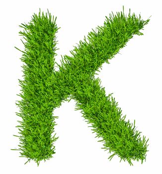 Letter of grass alphabet. Grass letter K isolated on white background. 3d illustration