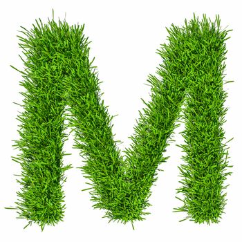 Letter of grass alphabet. Grass letter M isolated on white background. 3d illustration