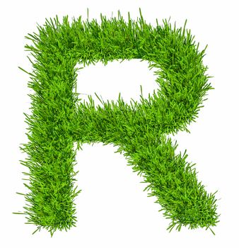 Letter of grass alphabet. Grass letter R isolated on white background. 3d illustration