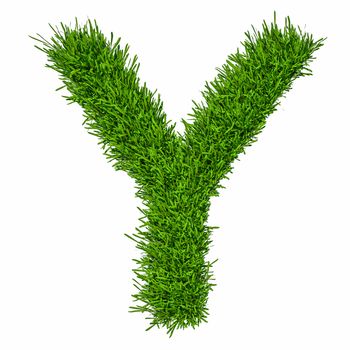 Letter of grass alphabet. Grass letter Y isolated on white background. 3d illustration