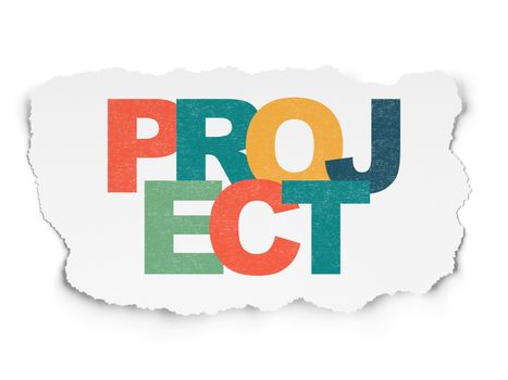 Business concept: Painted multicolor text Project on Torn Paper background