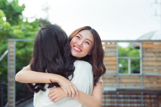 Asian sisters hugging and smiling in the park.