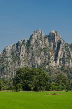 Kao Nor Kao Kawg is limestone mountain in Nakon sawan Province and have green paddy ,blue sky