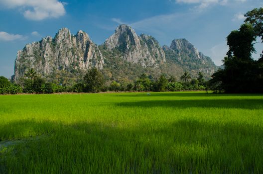 Kao Nor Kao Kawg is limestone mountain in Nakon sawan Province and have green paddy ,blue sky