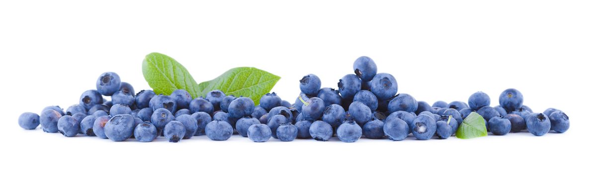 Fresh blueberries fruits isolated on white background panoramic