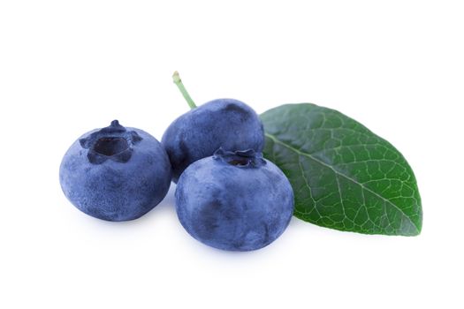Three blueberries isolated on white background, fruits closeup