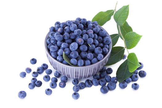Fresh blueberries in a bowl, fruits isolated on white