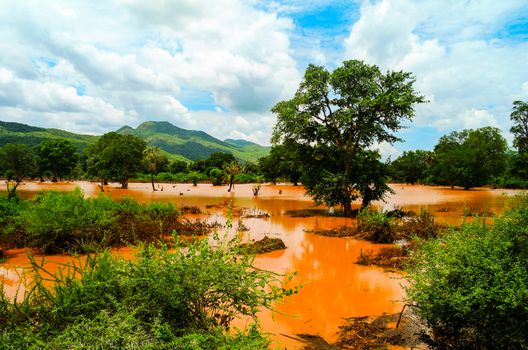 Landscape of red swamp Weito river, Ethiopia