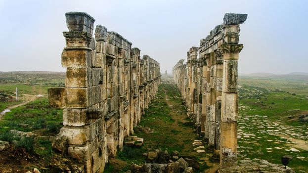 Great Colonnade at Apamea in fog, partially destroyed, Syria