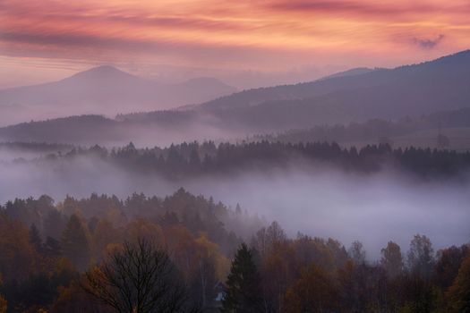 foggy morning over the national park Bohemian Switzerland, Czech Republic