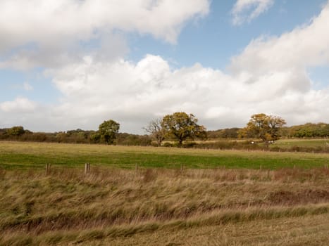 empty hill side scene in country with trees in distance and blue and clouded sky; essex; england; uk