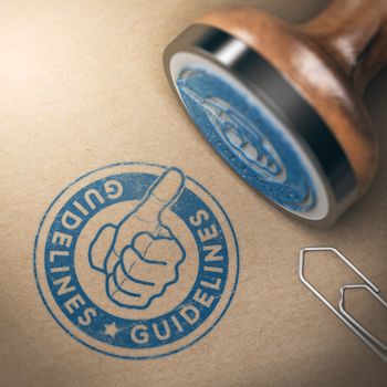 3D illustration of rubber stamp with the text guideline over brown cardboard background. Concept of good use and practices.
