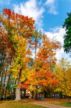 Autumn in park, landscape with fall colored trees and blue sky in sunny day