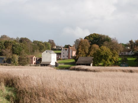 beautiful white mill old building end of coastal river beyond grass reeds; essex; england; uk