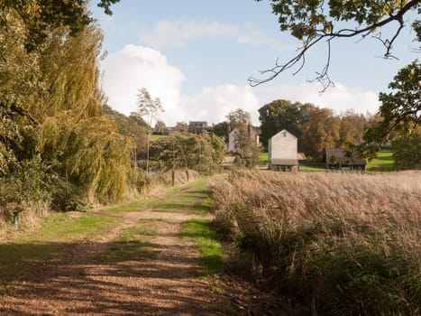 beautiful country path walkway trees and reeds to old white mill; essex; england; uk