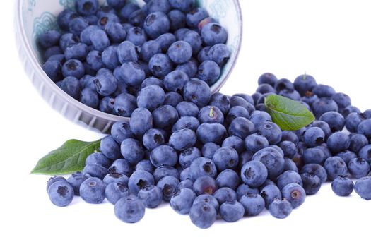 Fresh blueberries in a bowl, fruits isolated on white