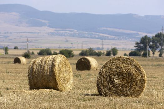 Straw bales on farmland.