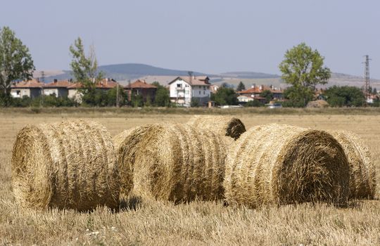 Straw bales on farmland.