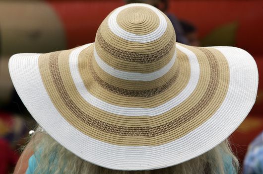 Woman in the back with a big straw hat.