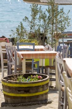 Cute little tavern in the olive shade in Sithonia sleeve, Halkidiki, Greece