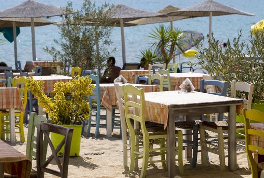 Cute little tavern in the olive shade in Sithonia sleeve, Halkidiki, Greece