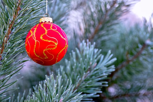 The branches of Christmas trees, toy.