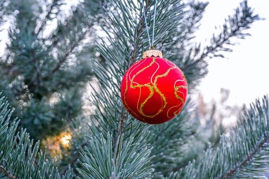 The branches of Christmas trees, toy.