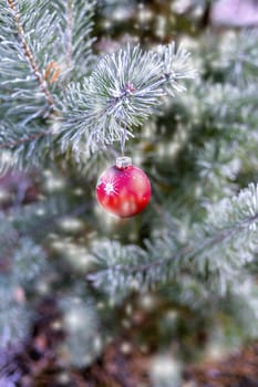 The branches of Christmas trees, toy.