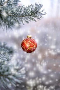 The branches of Christmas trees, toy.