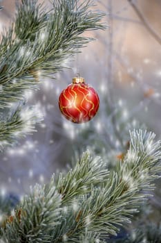 The branches of Christmas trees, toy.