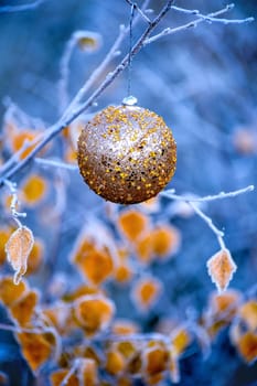 The branches of Christmas trees, toy.