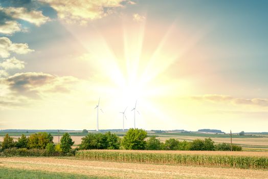 Wind generators turbines on sunset summer landscape