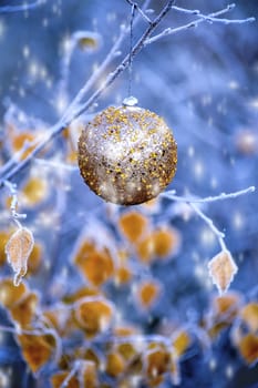 New Year's ball hanging on a branch of a Christmas tree in the forest.