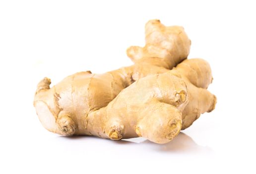 Fresh ginger root on white background for herb and medical product concept