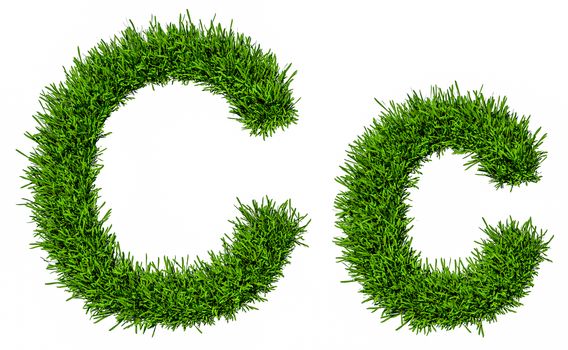 Letter of grass alphabet. Grass letter C, upper and lowercase. Isolated on white background. 3d illustration