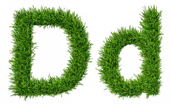 Letter of grass alphabet. Grass letter D, upper and lowercase. Isolated on white background. 3d illustration