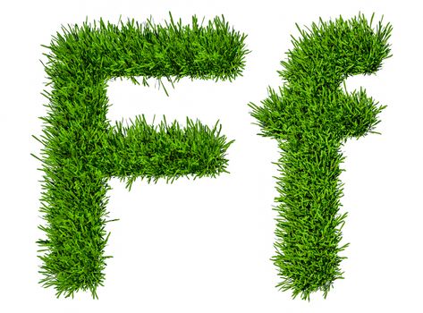Letter of grass alphabet. Grass letter F, upper and lowercase. Isolated on white background. 3d illustration