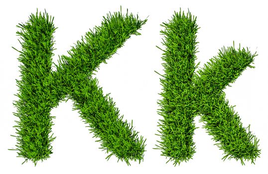 Letter of grass alphabet. Grass letter K, upper and lowercase. Isolated on white background. 3d illustration