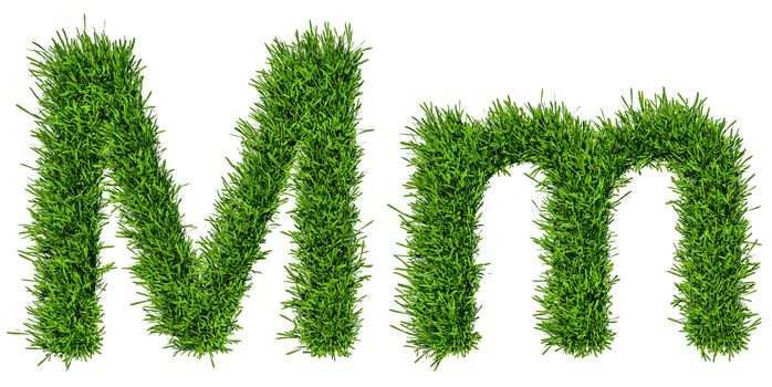 Letter of grass alphabet. Grass letter M, upper and lowercase. Isolated on white background. 3d illustration