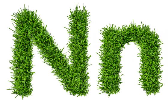 Letter of grass alphabet. Grass letter N, upper and lowercase. Isolated on white background. 3d illustration