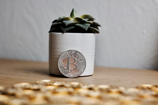 Digital currency physical metal bitcoin coin on the gold money background. Money concept.