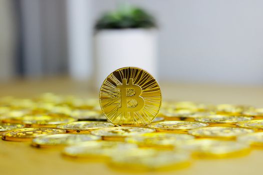 Digital currency physical metal bitcoin coin on the gold money background. Money concept.