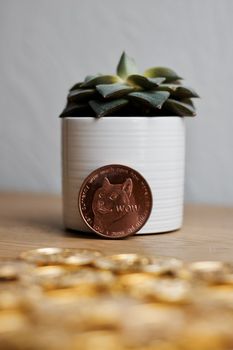 Digital currency physical brass dogecoin coin. Cryptocurrency mining concept.