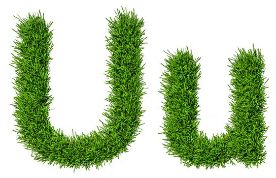 Letter of grass alphabet. Grass letter U, upper and lowercase. Isolated on white background. 3d illustration