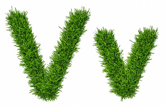 Letter of grass alphabet. Grass letter V, upper and lowercase. Isolated on white background. 3d illustration