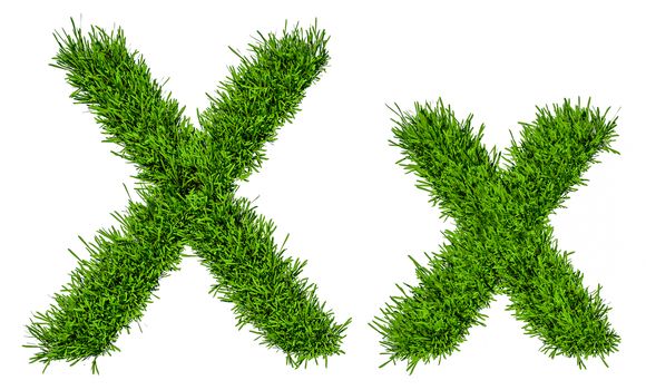 Letter of grass alphabet. Grass letter X, upper and lowercase. Isolated on white background. 3d illustration