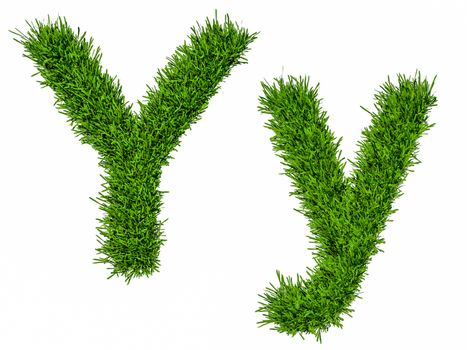 Letter of grass alphabet. Grass letter Y, upper and lowercase. Isolated on white background. 3d illustration