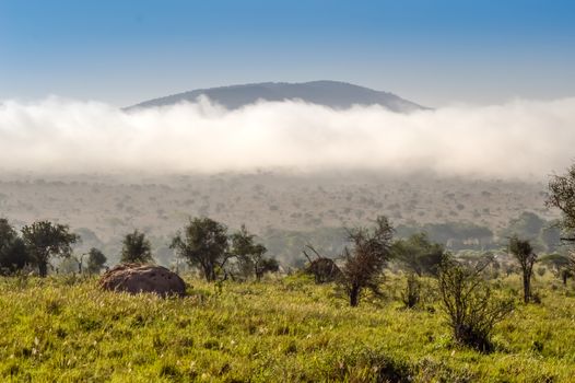 Rise of mist on the savanna and mountains of Tsavo West Park in Kenya